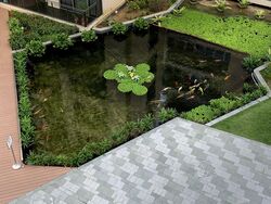 The Miltonia Residences (D27), Condominium #553920601